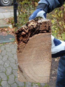 15_DSC01235