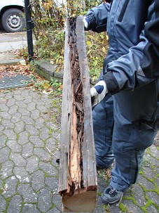 16_DSC01238