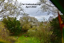 750_2004b