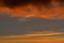 750_6638b
