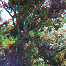 DSCF8594