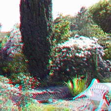 DSCF8595