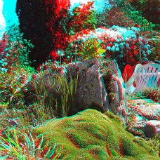 DSCF8599