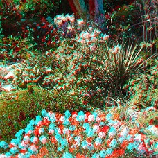 DSCF8605