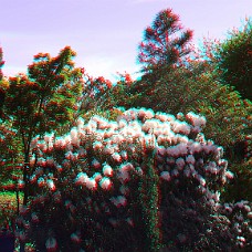DSCF8607