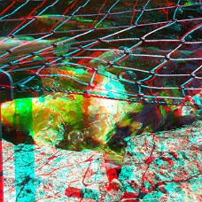 DSCF8609