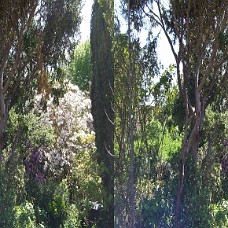 DSCF8594