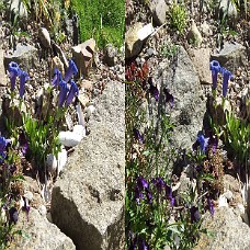 DSCF8596